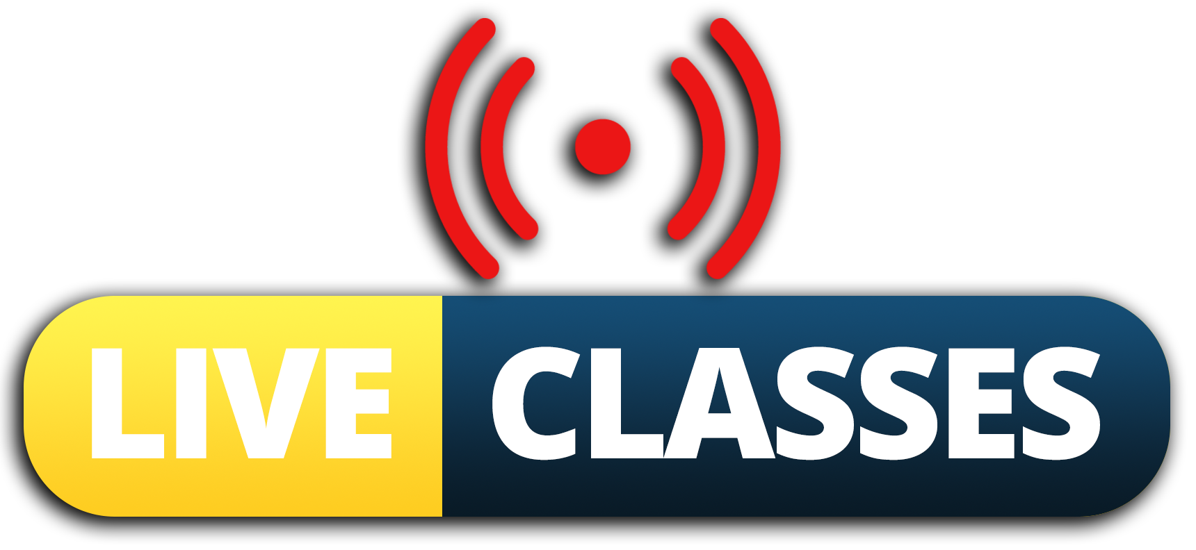 Daily Live Classes